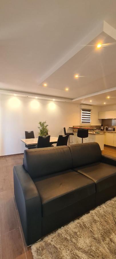 Le Cocon du Léman 4 Étoiles Netflix&Mini-Bar&Parking Privé&Balcon Apartamento Viry  Exterior foto