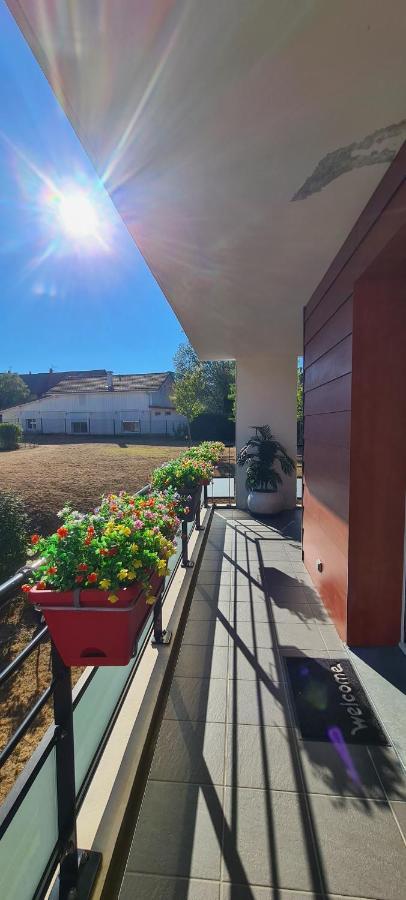 Le Cocon du Léman 4 Étoiles Netflix&Mini-Bar&Parking Privé&Balcon Apartamento Viry  Exterior foto